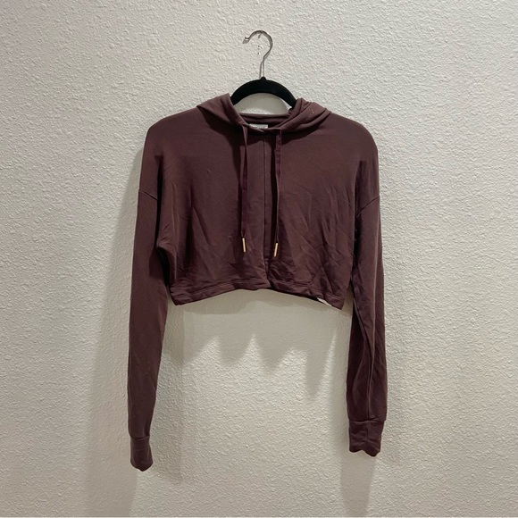 Gymshark Sweaters - Gymshark x Whitney Simmons Cropped Hoodie Size Small